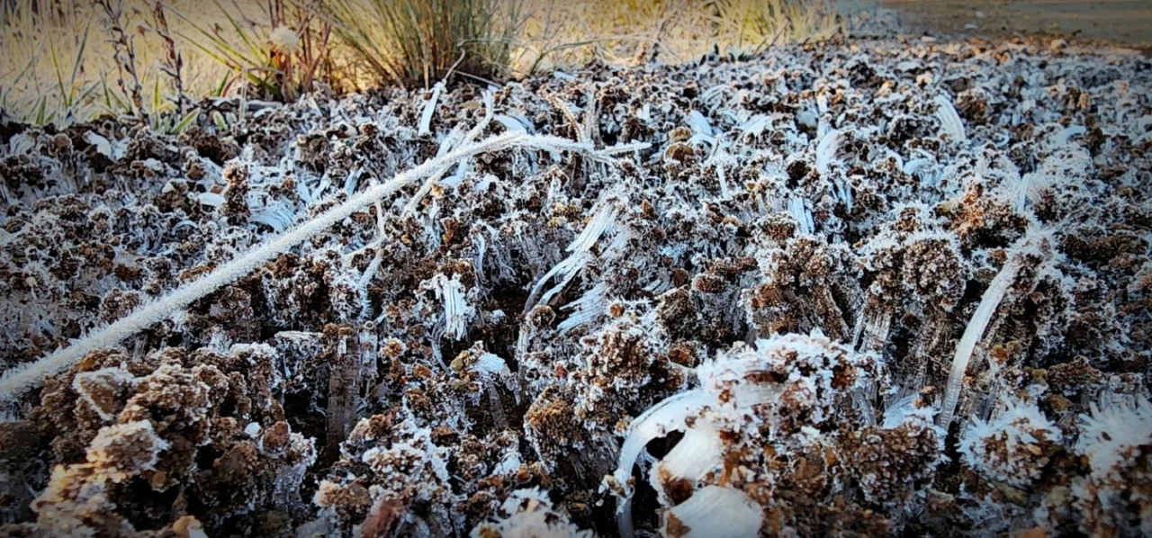 Serra Catarinense registra o amanhecer mais frio do ano  (6)