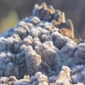 Sincelo na Serra Catarinense