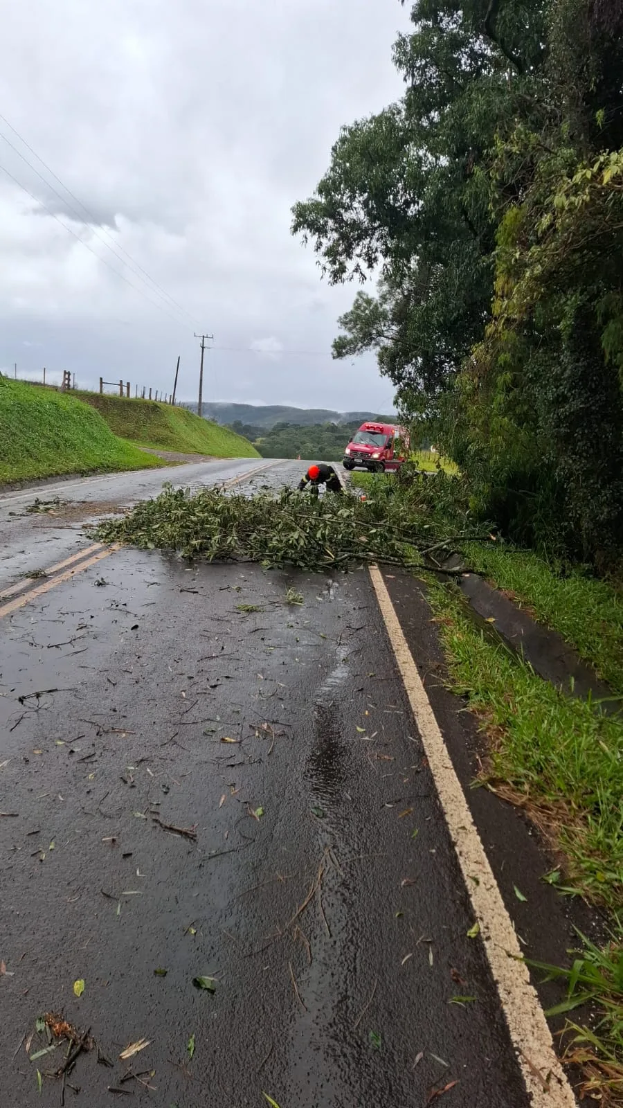 Temporal provoca quedas de árvores, destelhamentos e enxurrada no Oeste de SC