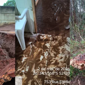 Temporal provoca quedas de árvores, destelhamentos e enxurrada no Oeste de SC