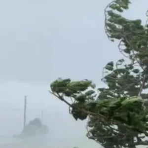 Ventos fortes destroem pomares de maçã em São Joaquim