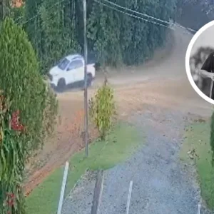 Vídeo mostra queda de carro em rio que terminou com morte de motorista em SC