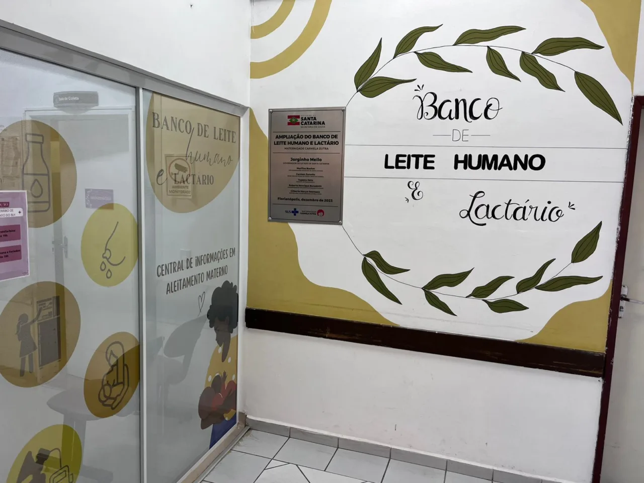 maternidade carmela dutra 900 partos