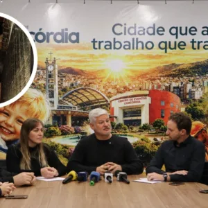 400 gatos em Concórdia prefeitura assume custos e prepara animais para adoção