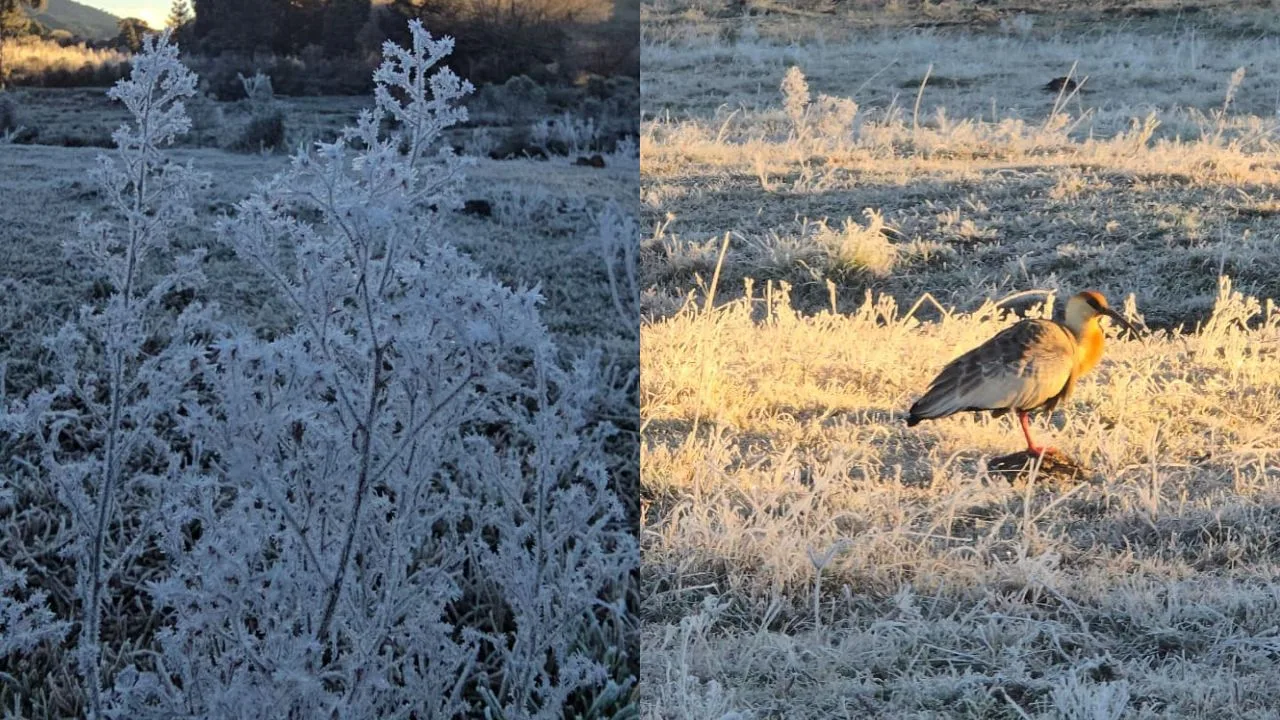 Bom Jardim da Serra registra menor temperatura do ano com -9,1ºC
