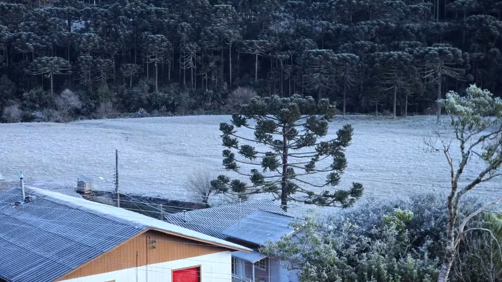 Frio extremo: 37 cidades registram temperaturas negativas em SC