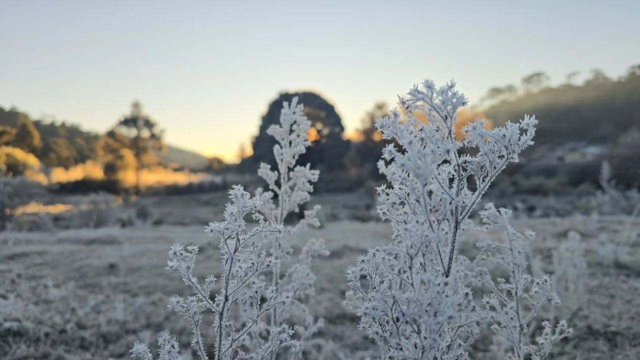 Frio extremo: 37 cidades registram temperaturas negativas em SC