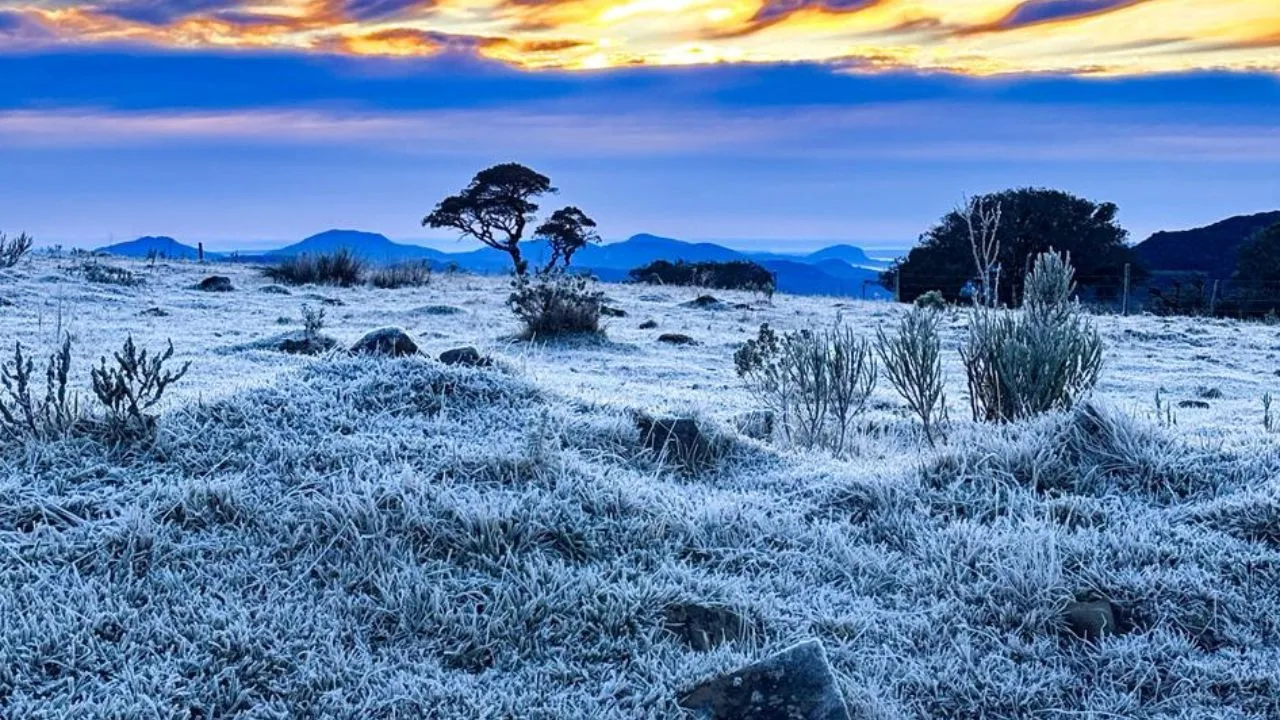 Frio extremo: 37 cidades registram temperaturas negativas em SC