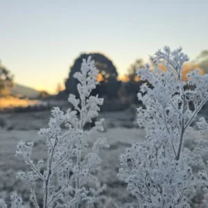 Bom Jardim da Serra registra menor temperatura do ano com -9,1ºC
