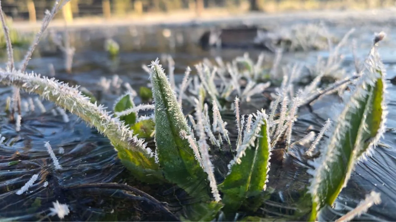 Bom Jardim da Serra registra menor temperatura do ano com -9,1ºC