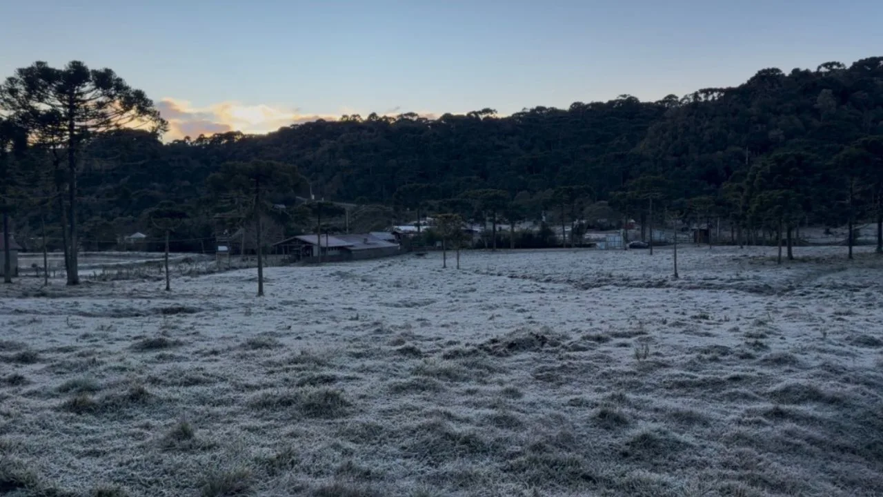 Frio extremo: 37 cidades registram temperaturas negativas em SC
