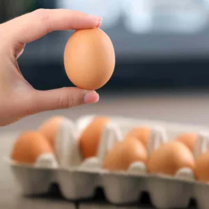 Como saber se o ovo está estragado? O teste com água que tira a dúvida em segundos