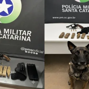 Confusão com tiros acaba em prisão em Chapecó