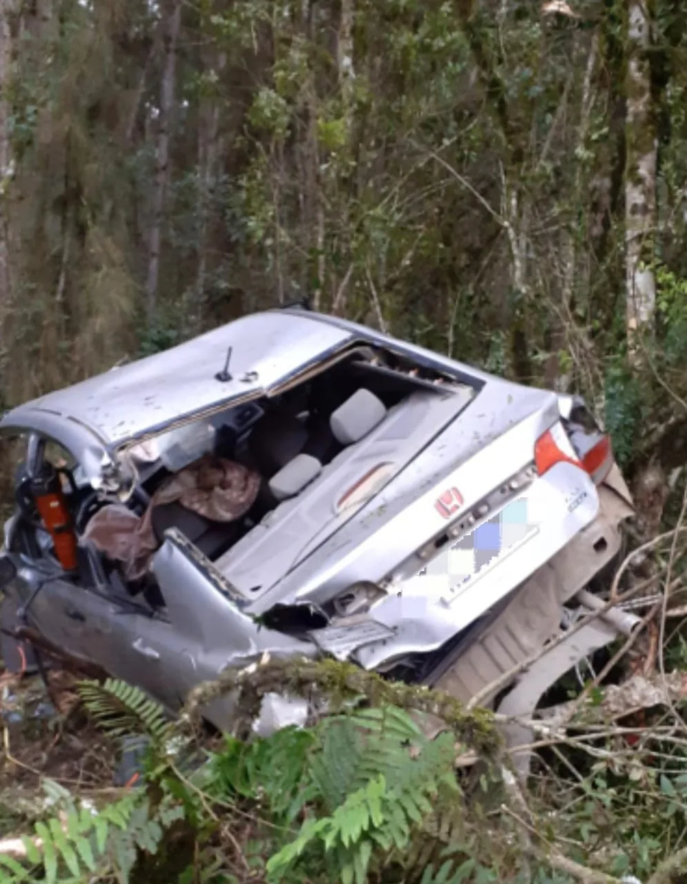 DJ morre após grave acidente na BR-280 em SC