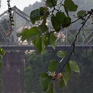 El Niño é confirmado e Defesa Civil alerta para mais chuva em Blumenau