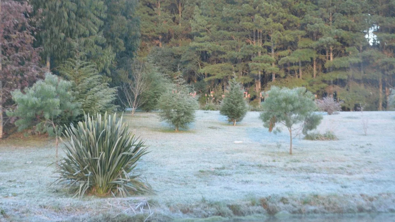 Frio extremo: 37 cidades registram temperaturas negativas em SC