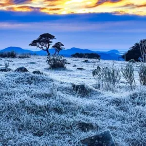 Frio extremo 37 cidades registram temperaturas negativas em SC