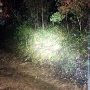 Jovem é encontrado morto com as mãos decepadas em SC
