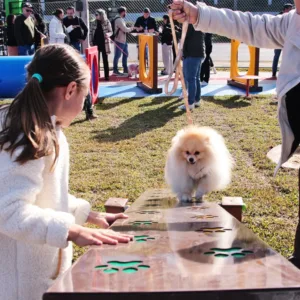 Lages ganha primeiro espaço público voltado ao lazer de animais
