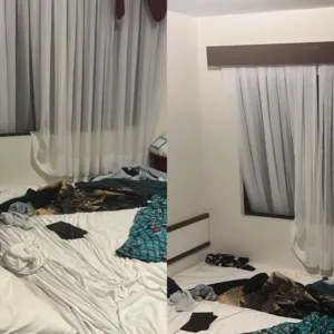 Mãe tentou segurar criança de 4 anos antes de queda fatal em Blumenau, diz Polícia Civil