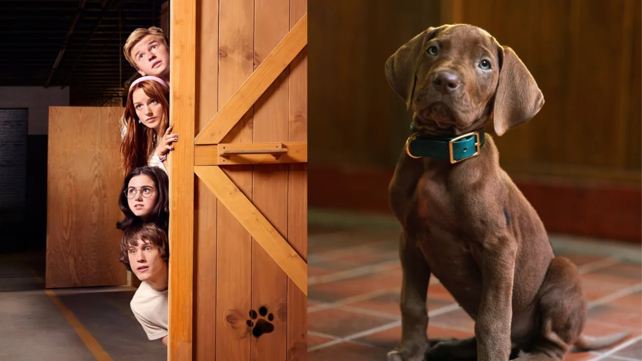 Netflix revela primeira imagem de Scooby-Doo em nova série live-action