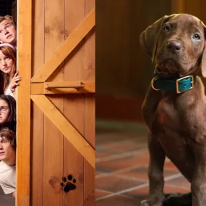 Netflix revela primeira imagem de Scooby-Doo em nova série live-action