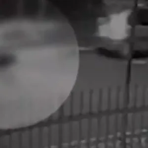 'Ninguém percebeu' homem fica mais de uma hora caído e morre atropelado