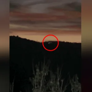 Especialistas analisam imagens de suposto OVNI registradas no Paraná - Imagem: reprodução/ redes