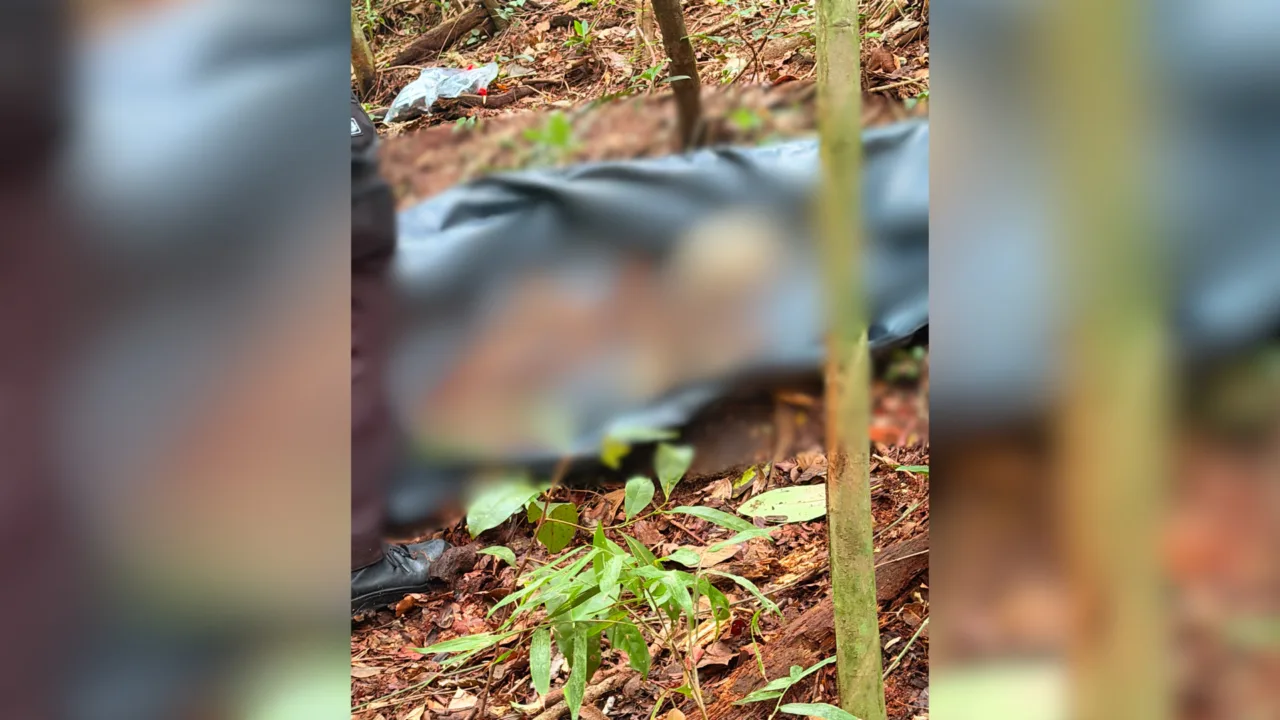 Ossada humana é encontrada em área de mata em Itajaí
