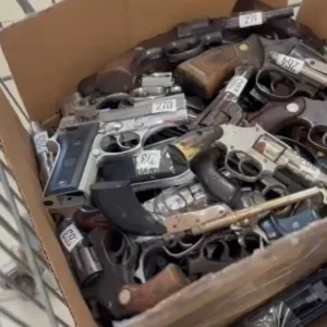 PF destrói 70 armas de fogo e anuncia que destruir mais 700 | Foto: divulgação/PFSC 