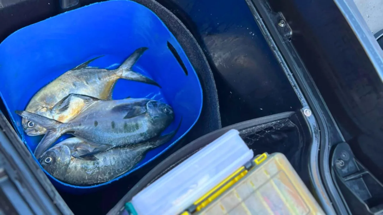 PF prende homem por pesca ilegal em reserva marinha de SC