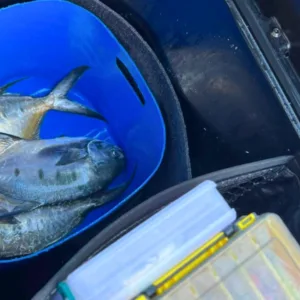 PF prende homem por pesca ilegal em reserva marinha de SC | Foto: divulgação / PF 
