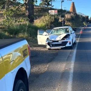 PMRv atende atropelamento de cavalo em São Joaquim | Foto: PMRv