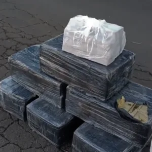 PRF apreende 120 kg de maconha em carro clonado no Oeste de SC | Foto: Divulgação