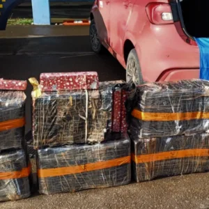 PRF apreende quase 100 kg de maconha na BR-153 em SC