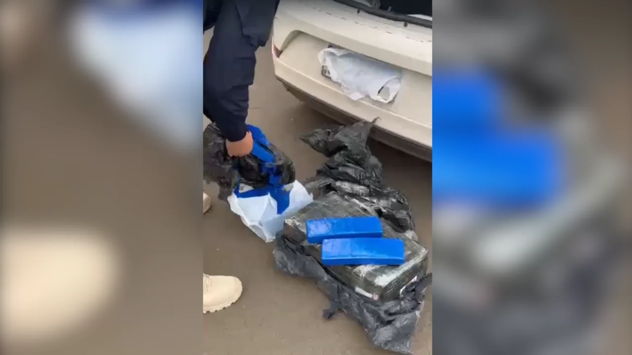 PRF aprende quase 60kg de maconha no Oeste de SC