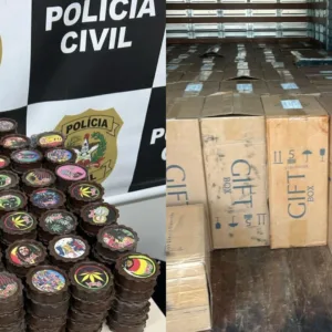 Polícia prende homem com mais de R$ 1 milhão em cigarros contrabandeados em SC | Fotos: PCSC/Reprodução