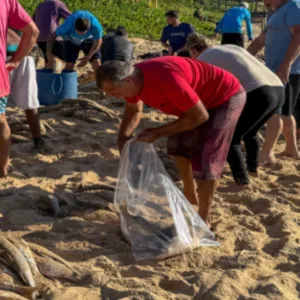 Proibição da pesca da tainha por arrasto preocupa Balneário Camboriú