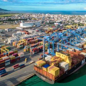 Santa Catarina bate recorde histórico e supera US$ 2 bilhões em exportações de carnes