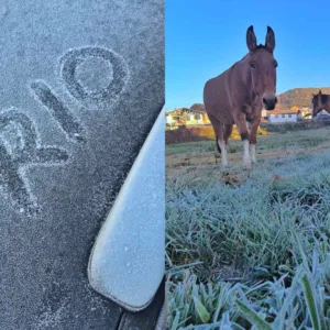 São Joaquim registra -4,7°C e amanhece coberta por gelo na Serra Catarinense | Foto: Mycchel Legnaghi