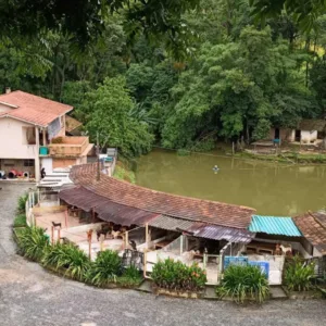 Sítio Dona Lúcia, com 30 anos e 1.300 animais, enfrenta risco de fechamento em Blumenau