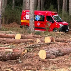 Trabalhador morre após ser atingido por árvore em Capão Alto | Foto: Bombeiros Voluntários de Capão Alto