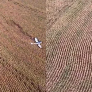 Avião faz pouso de emergência em área rural do Paraná | Fotos: Plantão Maringá via Rede Massa