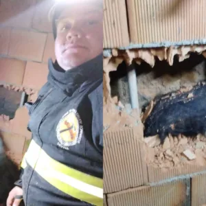 Assustado com fogos, cachorro fica preso entre duas paredes e mobiliza bombeiros em SC