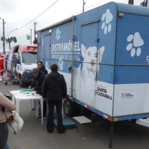 Bairro Santa Catarina recebe mutirão gratuito de castração de cães e gatos