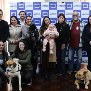 Cães comunitários de Lages recebem coleiras com QR Code