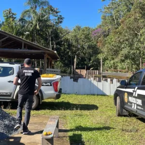 Casal é preso por maus-tratos a 33 animais em Blumenau