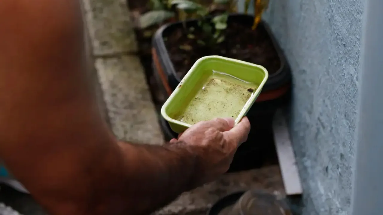 Saúde alerta para aumento dos casos de dengue e chikungunya durante o El Niño