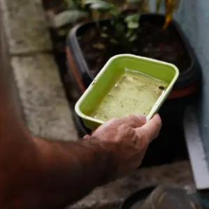 Saúde alerta para aumento dos casos de dengue e chikungunya durante o El Niño