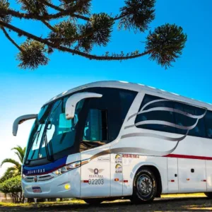 Férias de julho 6 dicas para viajar de ônibus sem imprevistos